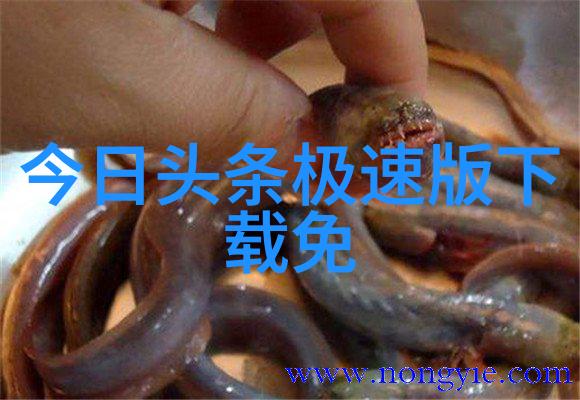 我的摄影日记pans写真记录生活点滴