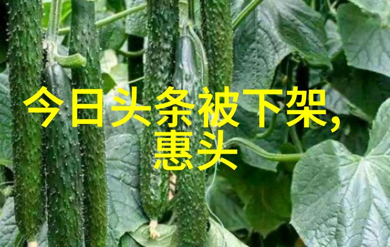 影片推出后他们两个人的粉丝群体将如何互动交流呢