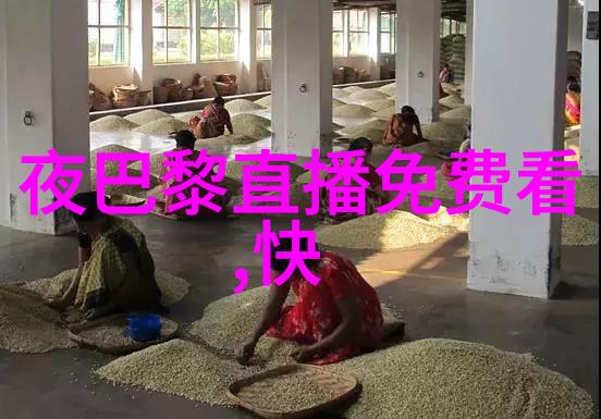 写真视频我是如何用一部手机拍出令人惊叹的照片和视频的