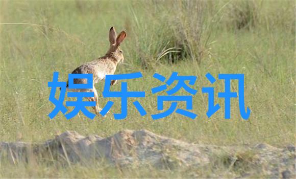 抖音网红前十名排行榜-火爆星途揭秘抖音网红前十名的成功秘诀