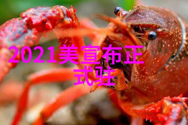 政企携手呼吁切勿冲动酒驾全民一同举杯哈啤共享微信头像图片大全的欢乐瞬间