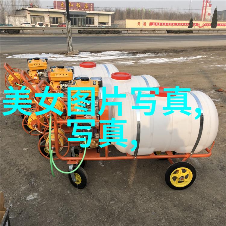 生活点滴421页的故事我如何从书中找回青春