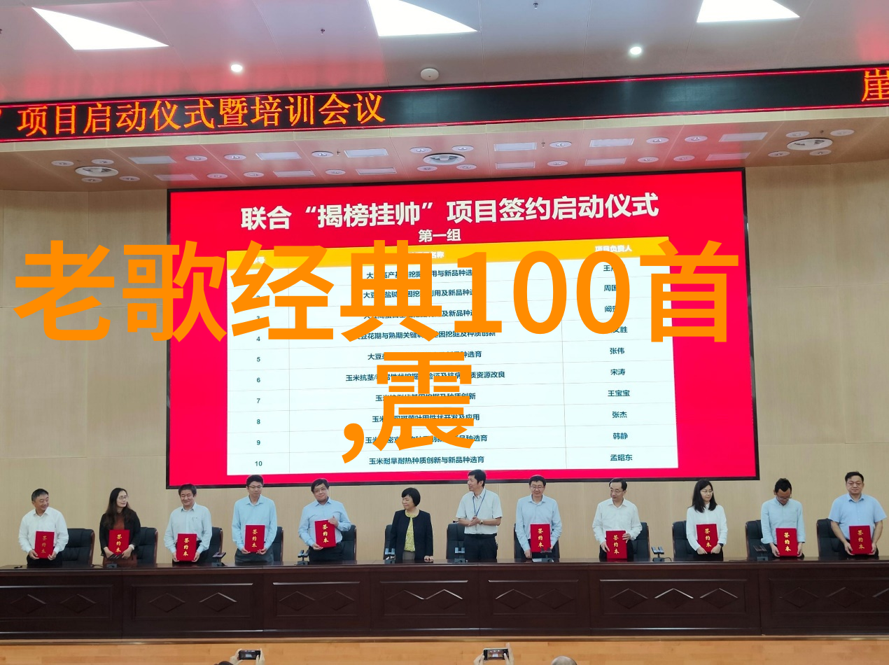 中国网络红人风采展现流量巨星背后的故事与魅力