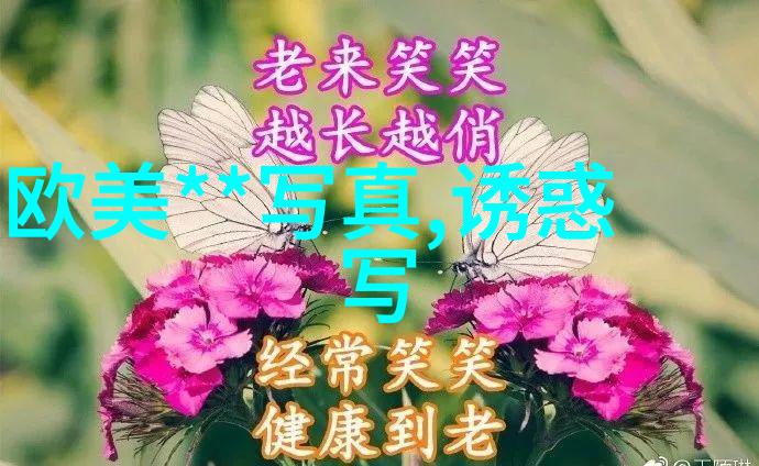 追逐心跳的旅程一场无边界的视觉盛宴
