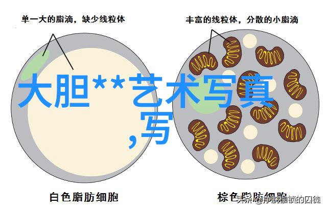 421pdf庆祝平安晒结业证书纪念全国中青年文艺领军人才高级研修班圆满结束