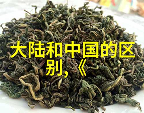 芳华时光汤芳写真的艺术探索