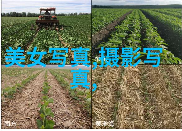我与421页的故事翻开记忆421页中的我