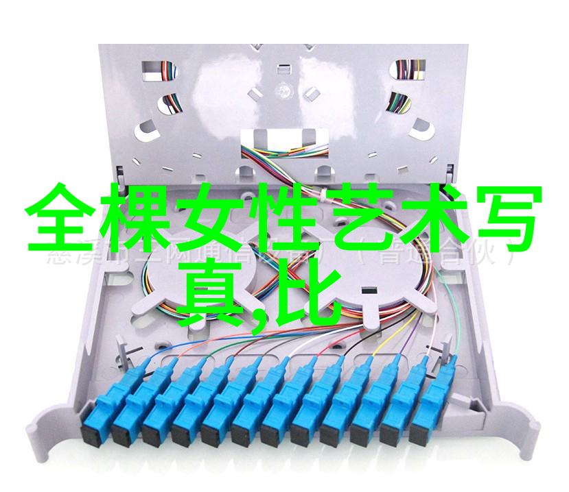 搜狐时尚盛典我是时尚界的新星你们看我这身装扮