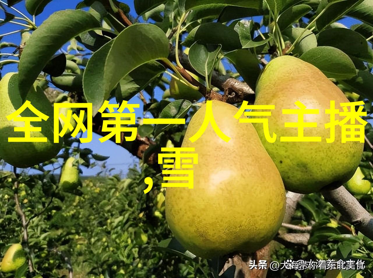 震动创作凶案深处马思超杀青重塑自我形象