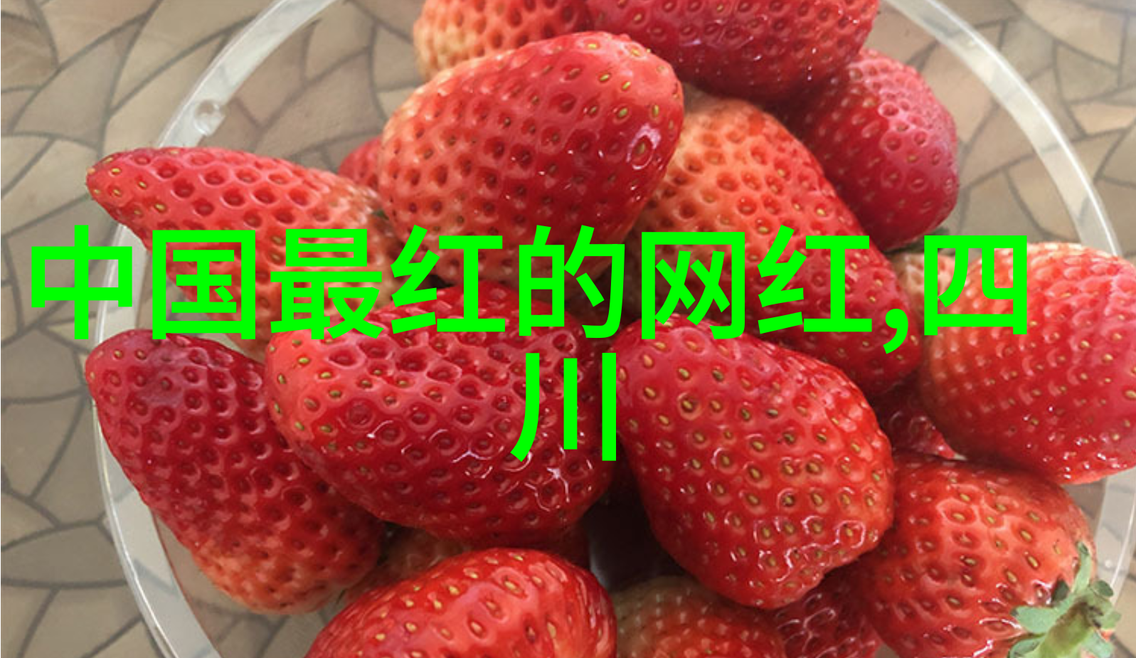 恋爱预约我的娱乐圈恋爱预约师引路星的秘密生活
