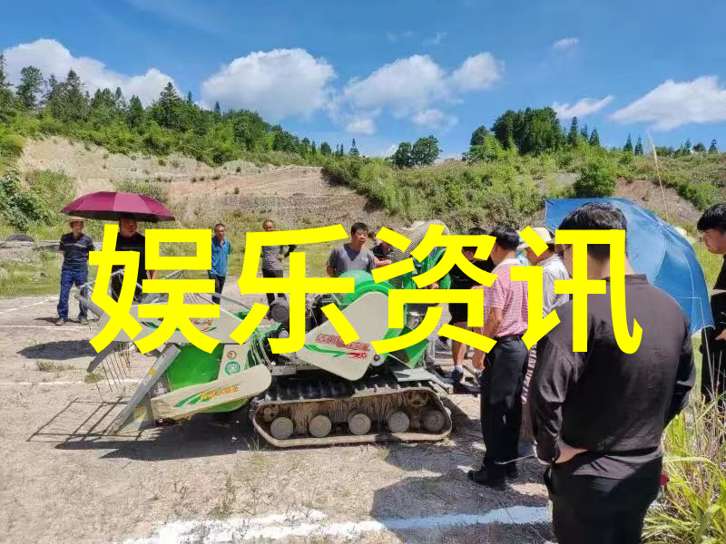 龙崽宝宝求生综艺现象学研究新兴媒体下的传统神话元素再融合与受众互动分析