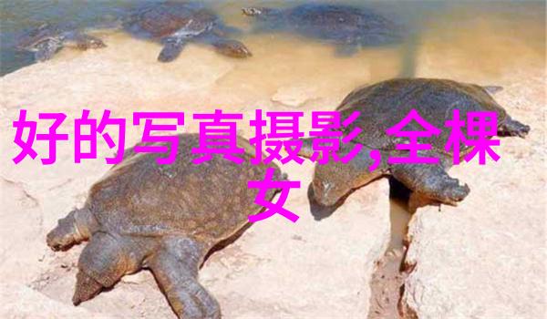 美女艺术写真梦幻场景中的优雅模特