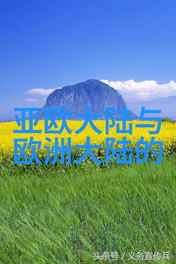 当娱乐变为恐怖探索惊悚综艺如何塑造C位明星