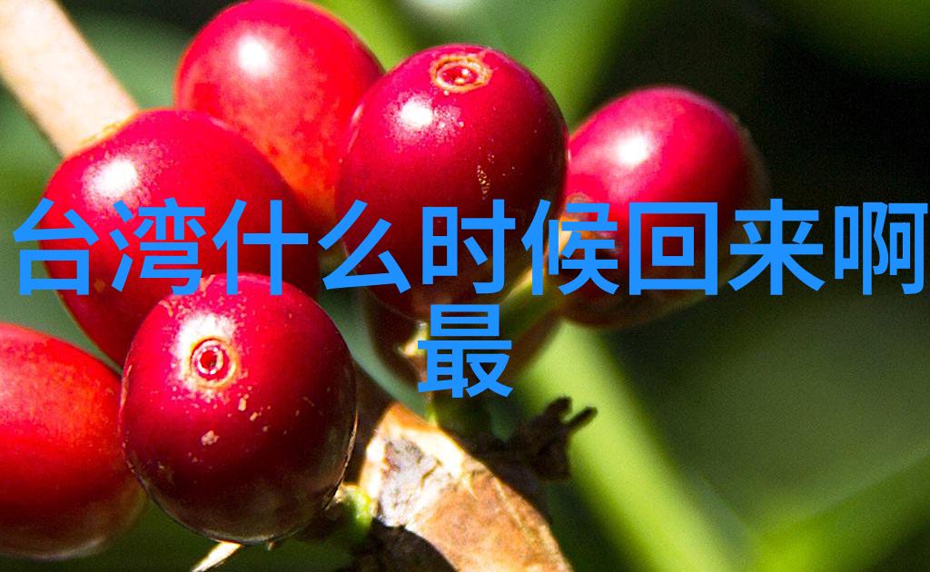 青春娱乐现象学一项跨世代的文化与社会研究