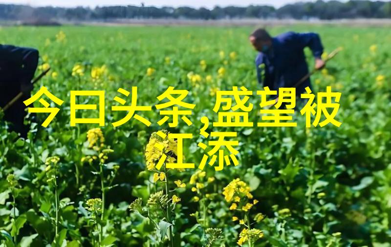 今日头条极速版下载拳锋相对郑姝音赵帅跆拳道盛宴武力值爆表冠军对决高潮迭起
