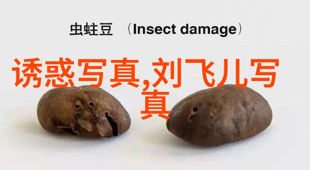 娱乐大决战明星们的王者之旅