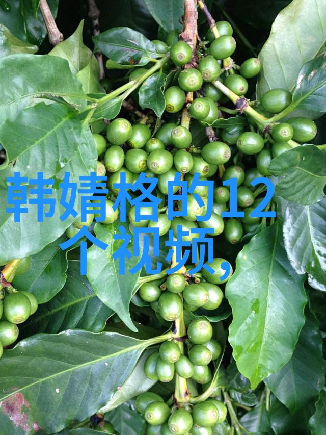 波涛汹涌之静谧流年