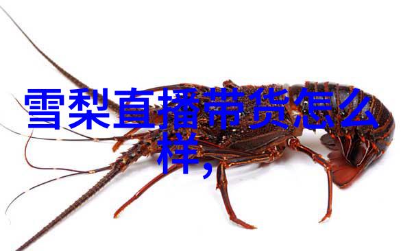 古秘录五音八卦的和谐交响