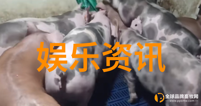 汽车头条解析未来交通智能化趋势与政策制定对策