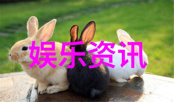 时尚运动新趋势街头风格与高科技合体
