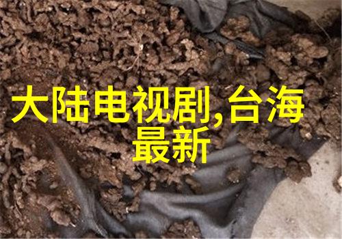 时尚先生揭秘泥膜的双重效能使用技巧与美妆达人共享