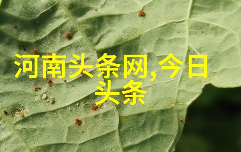 如何评价花姐影视在传统文化元素融合方面的创新尝试
