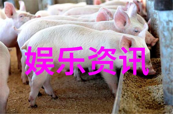11月结束迎接12月的霸气个性说说自然风景中的励志文案共81条