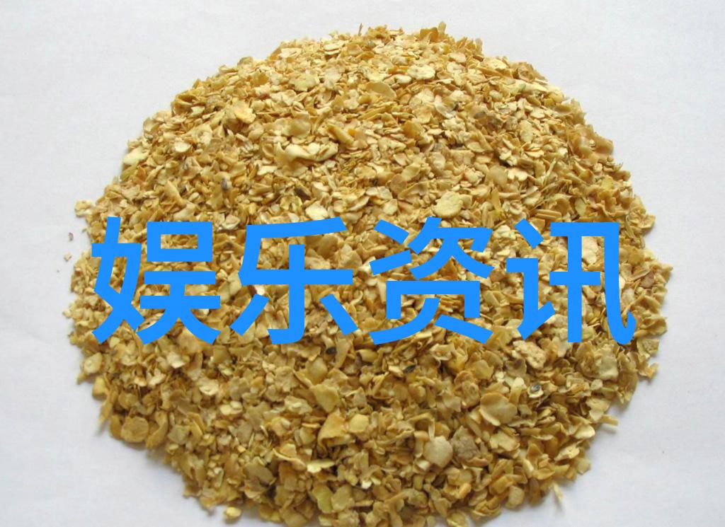 探索顶级无损音乐播放器app音质至上体验极致