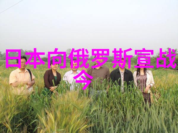妈妈的逆袭从抵抗到接受怀孕之路上的转变