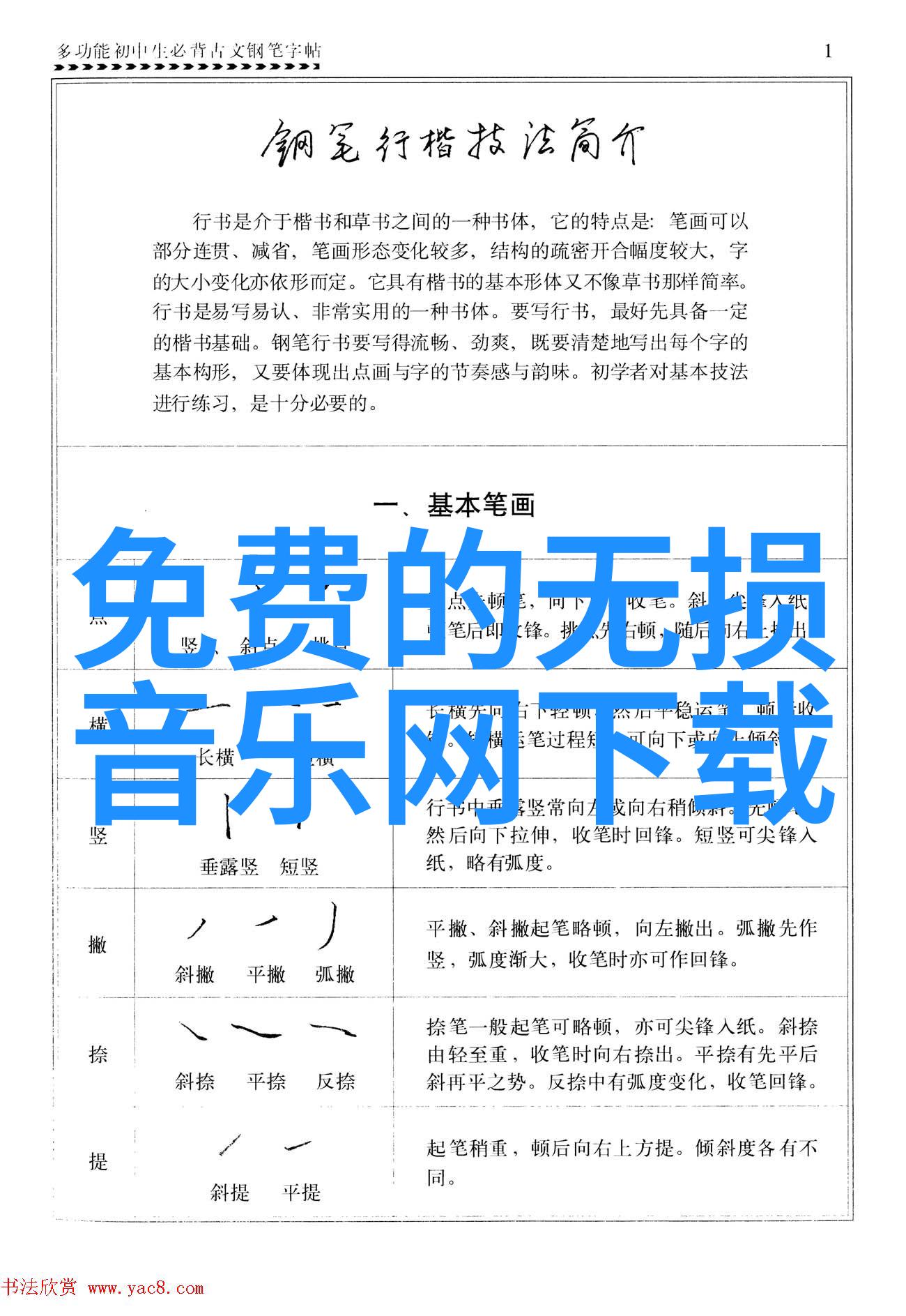 花边新闻窦智孔家在花莲海边多样身份初心不变吗