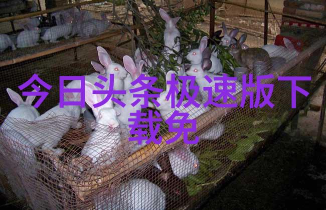 贝克汉姆长子婚礼盛宴物品曝光女歌手现场表演花费高达2500万元人民币