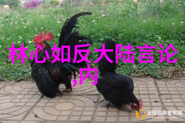 音乐盛宴尽在掌控之中