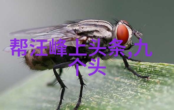 国际军事我是如何在一场虚拟的战役中遇见你的