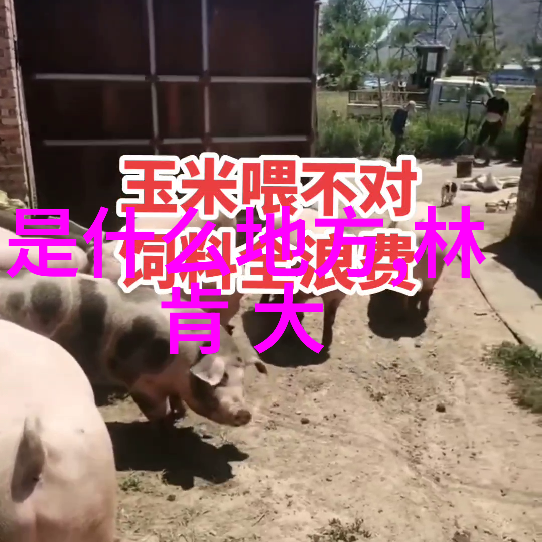 全球电影票房新纪元如何理解市场趋势与观众喜好