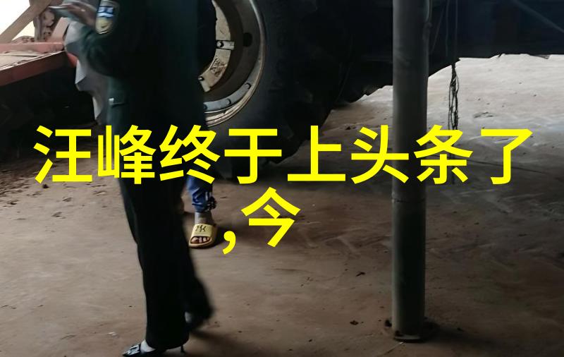 网红雪梨镜头下的富贵与生活的简单