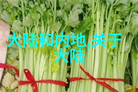 探索广西美景感受综艺旅游频道的魅力