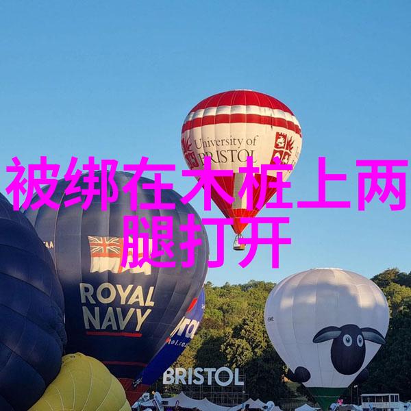 问鼎娱乐盛宴精彩无限的娱乐盛会