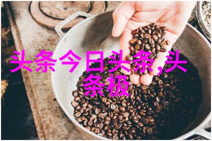 我可以47综艺-挑战极限揭秘我可以47综艺背后的创意与实力