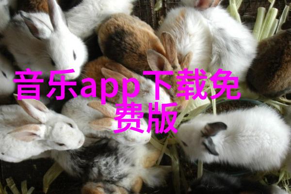 新人做直播哪个平台好-直播新手必备指南选对平台开启成功之旅