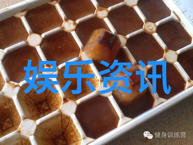 绯闻风暴娱乐圈秘密史的揭秘