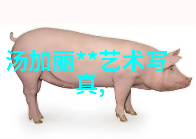爱情保卫战综艺盛宴中的真实挑战