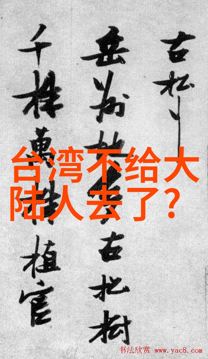 时尚健康之美泥膜功效与使用技巧美妆达人解析对立面