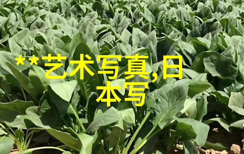 从战场到幕后潜行狙击在电视剧中的演变