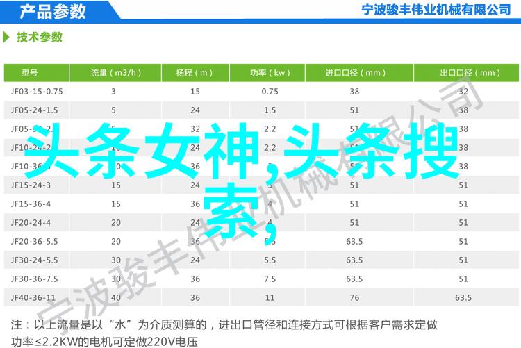 佟丽娅与她的粉丝爱情梦想与成长