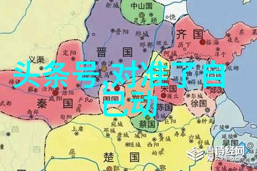 网红雪梨的面容革新从不完美到璀璨夺目