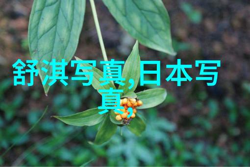 台湾社会传来好消息李媛媛受益于新政策改善生活条件