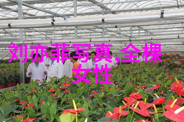 明星隐私风波421文件背后的真相探究