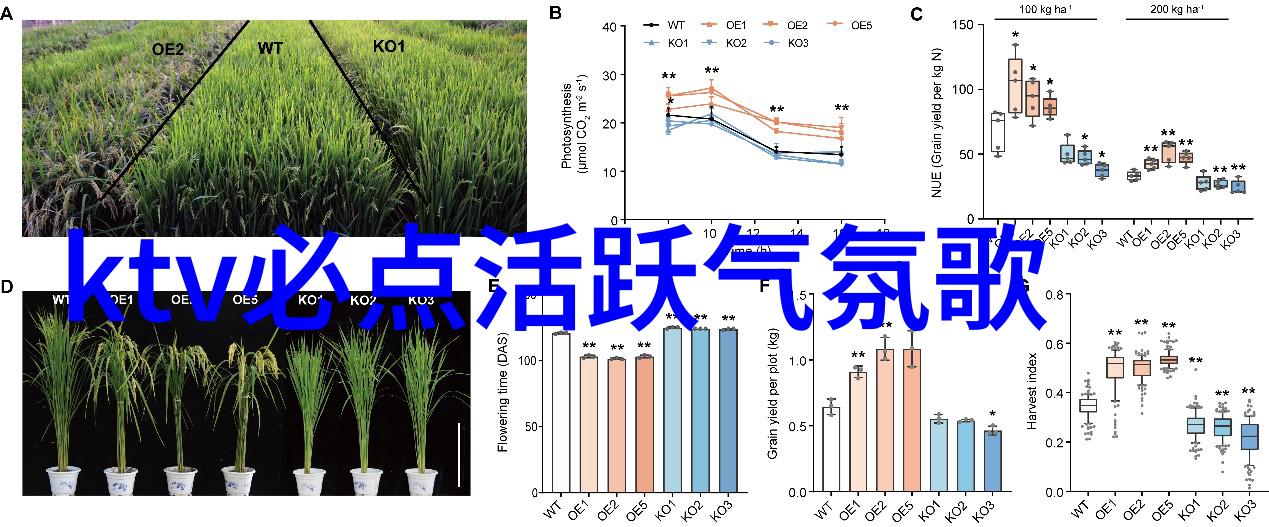 老歌100首经典老歌免费听于文文温暖献唱哥你好插曲 时间里的家温情上线