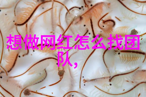 经典老歌500首完整版 - 回忆曲库探索经典老歌500首完整版的音乐魅力