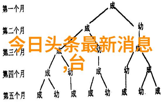 爸爸当家2免费观看完整版家庭乐趣的综艺盛宴